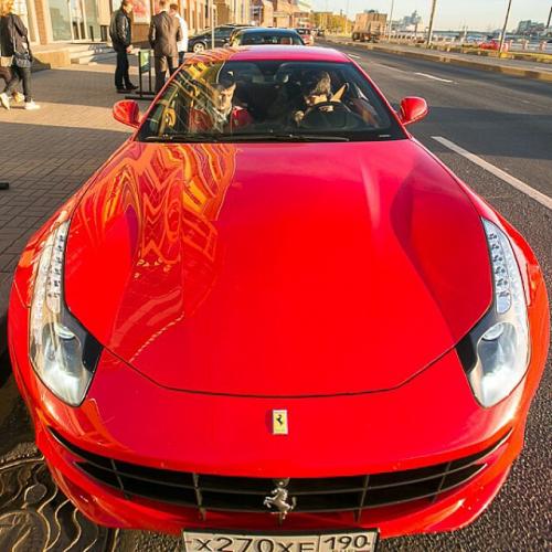 Русская на золотом Bentley и другие "мажоры" нашего времени