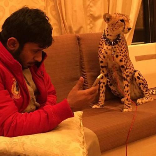 Русская на золотом Bentley и другие "мажоры" нашего времени