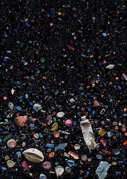 Проблема пластиковых отходов или что творится в наших океанах
