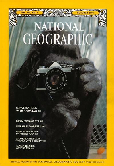 Топ-20 лучших обложек журнала National Geographic за последние 50 лет
