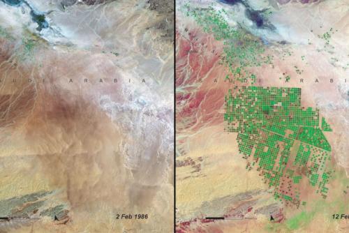 Что мы сделали с Землей