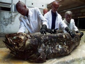 Топ-10 морских монстров