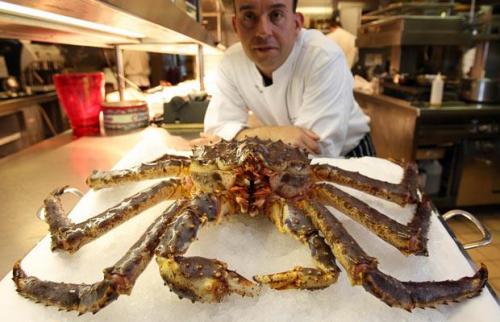 Топ-10 морских монстров