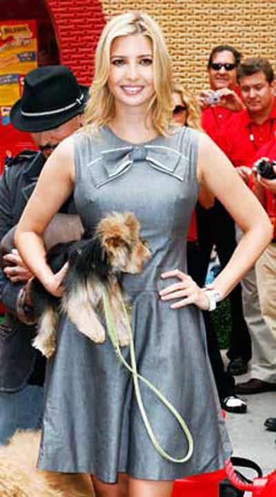 Собачье безумие: любимые питомцы знаменитостей