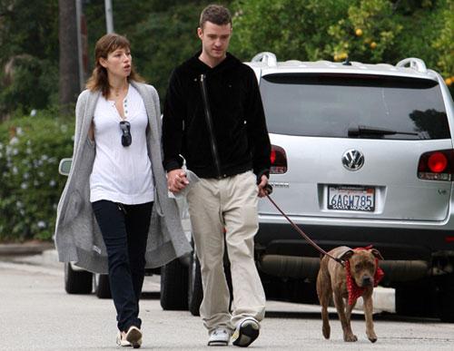 Собачье безумие: любимые питомцы знаменитостей