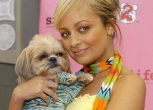 Собачье безумие: любимые питомцы знаменитостей