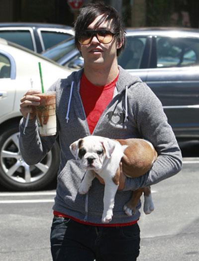 Собачье безумие: любимые питомцы знаменитостей