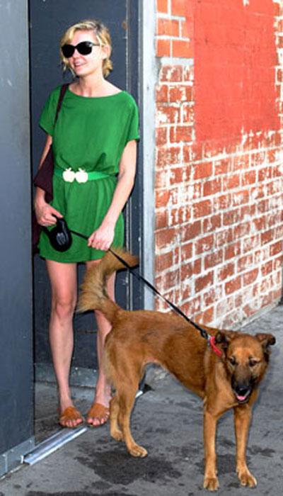 Собачье безумие: любимые питомцы знаменитостей