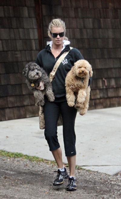 Собачье безумие: любимые питомцы знаменитостей