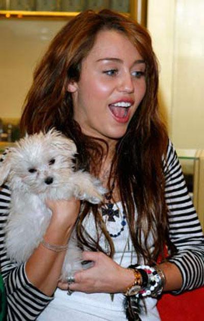 Собачье безумие: любимые питомцы знаменитостей