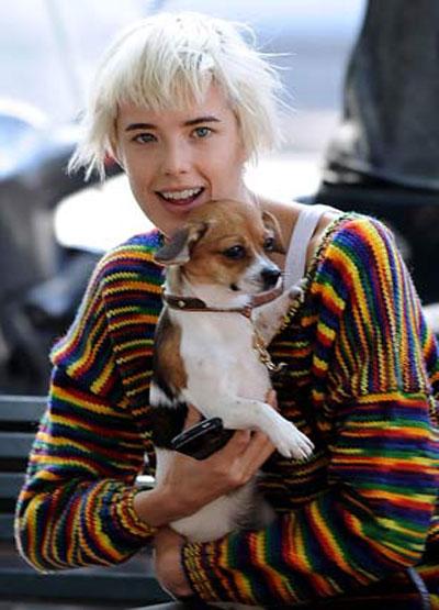 Собачье безумие: любимые питомцы знаменитостей