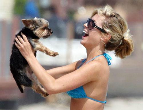 Собачье безумие: любимые питомцы знаменитостей