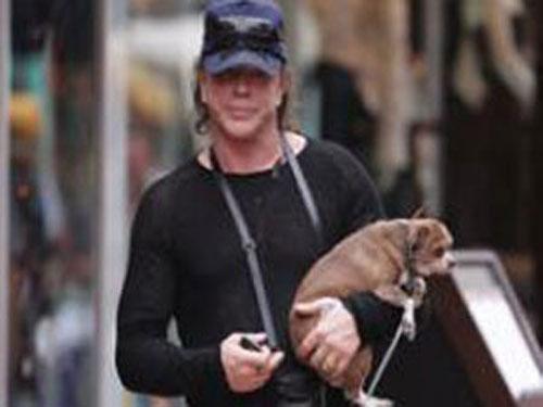 Собачье безумие: любимые питомцы знаменитостей