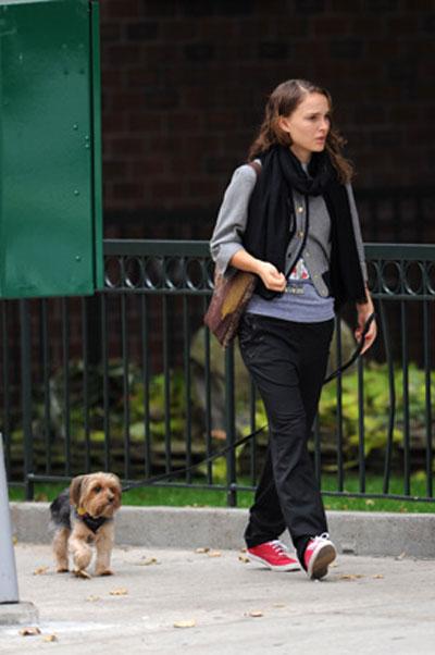 Собачье безумие: любимые питомцы знаменитостей