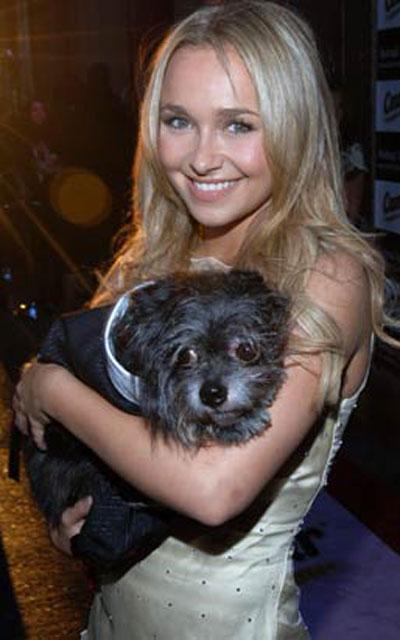 Собачье безумие: любимые питомцы знаменитостей