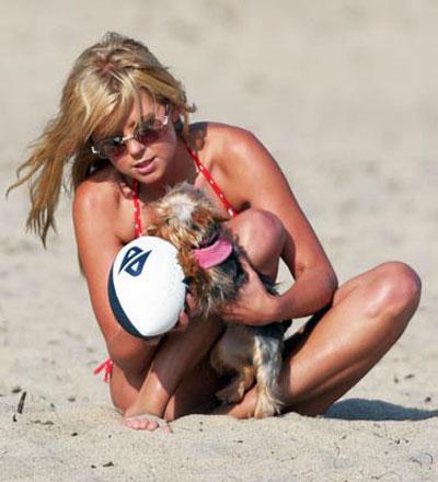 Собачье безумие: любимые питомцы знаменитостей