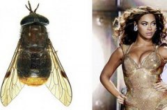 24 странных животных, получивших названия в честь знаменитостей