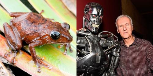 24 странных животных, получивших названия в честь знаменитостей