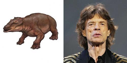 24 странных животных, получивших названия в честь знаменитостей