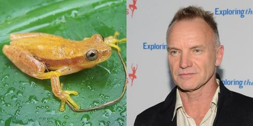 24 странных животных, получивших названия в честь знаменитостей