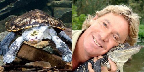 24 странных животных, получивших названия в честь знаменитостей