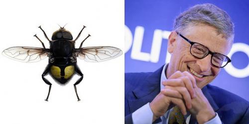 24 странных животных, получивших названия в честь знаменитостей