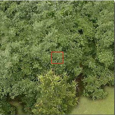 Космическое увеличение: от гигантского к микроскопическому