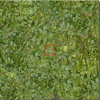 Космическое увеличение: от гигантского к микроскопическому