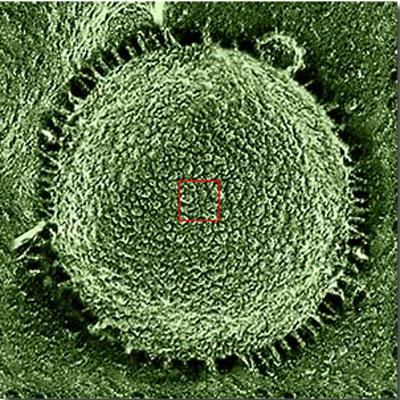 Космическое увеличение: от гигантского к микроскопическому
