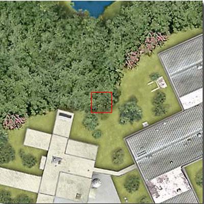 Космическое увеличение: от гигантского к микроскопическому