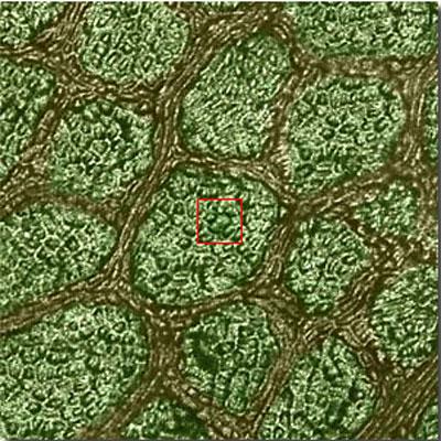 Космическое увеличение: от гигантского к микроскопическому