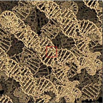 Космическое увеличение: от гигантского к микроскопическому