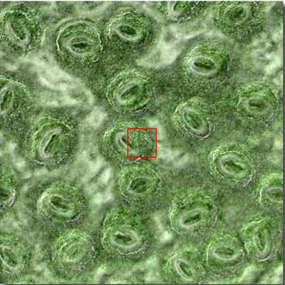 Космическое увеличение: от гигантского к микроскопическому