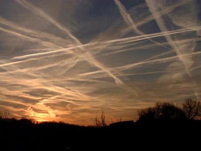 Самые известные световые феномены в природе