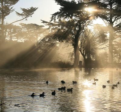 Самые известные световые феномены в природе