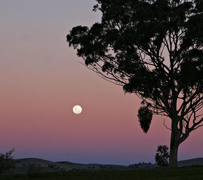 Самые известные световые феномены в природе