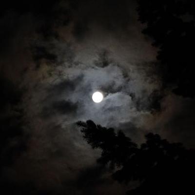 Самые известные световые феномены в природе