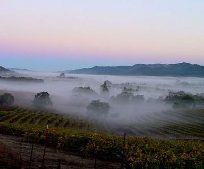 Самые известные световые феномены в природе