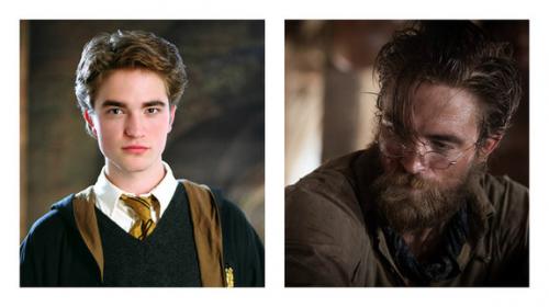 Как сложилась судьба актеров из "Гарри Поттера"
