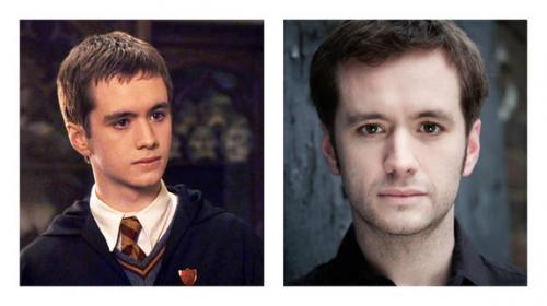 Как сложилась судьба актеров из "Гарри Поттера"