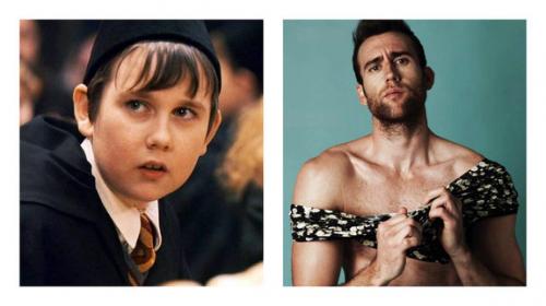 Как сложилась судьба актеров из "Гарри Поттера"