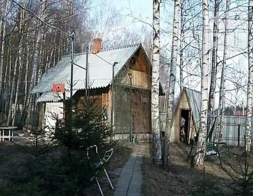 Знаменитые личности, у которых похищали детей