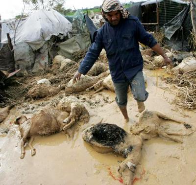 Самые страшные стихийные бедствия десятилетия