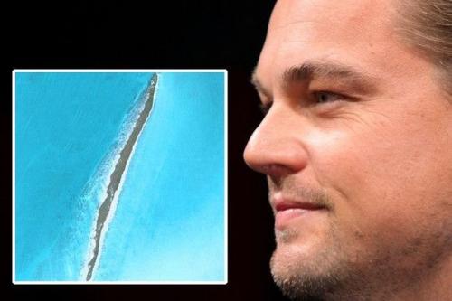 Звездные владельцы своего райского уголка