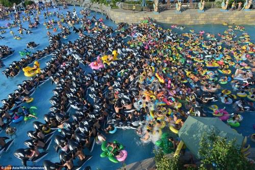 Как сельди в бочке: тысячи китайцев заполонили аквапарк