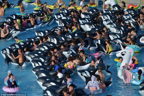 Как сельди в бочке: тысячи китайцев заполонили аквапарк