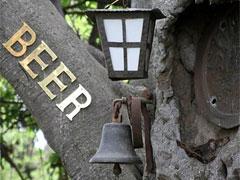 В Лимпопо открылся баобаб-бар