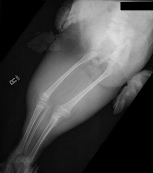 Девочка-русалка осталась с "хвостом"