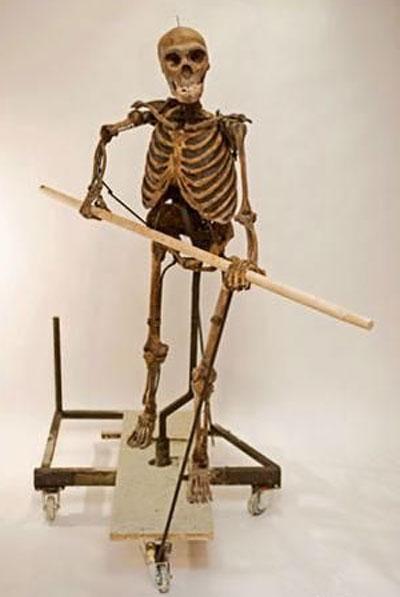 Воссоздано лицо неандертальской женщины, которой 43 000 лет