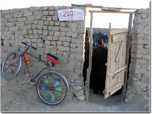 Кровавые разборки: мифы и ужасы собачьих боев…